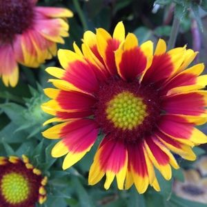 Meet your Posher, Jocelyne